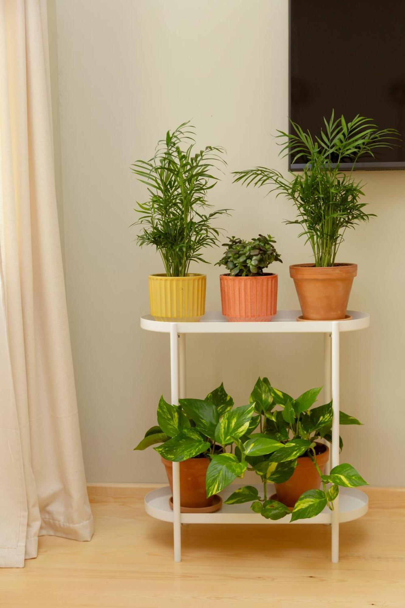 Lemon Apartments اسطنبول المظهر الخارجي الصورة